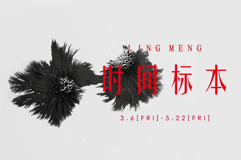 Ling Meng 01